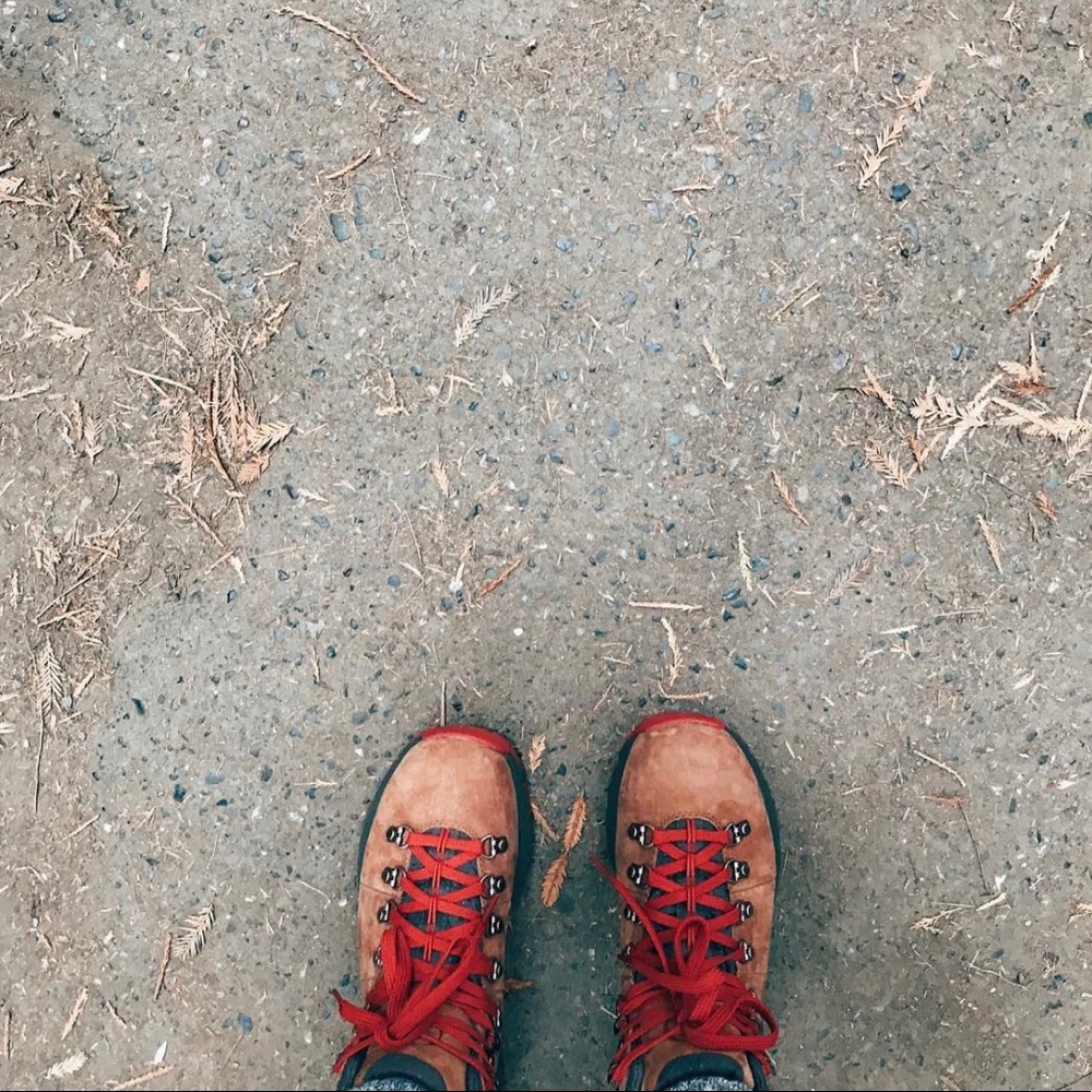 Danner Women's Mountain 600 4.5'' Suede Waterproof Hiking Boots